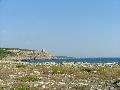 Porto Selvaggio