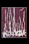 Mostra Fabio Cappello