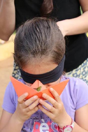 L'orto dei bambini