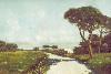 strada