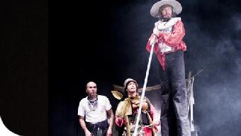 Chisciotte fenicottero