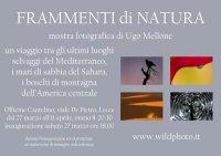 Frammenti di Natura
