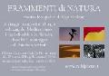Frammenti di Natura