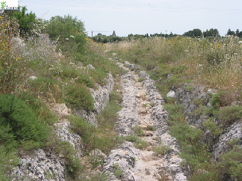 In cammino sulla via Francigena