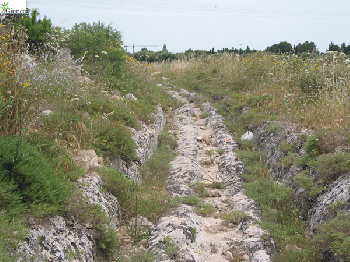 In cammino sulla via Francigena