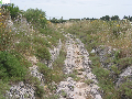 In cammino sulla via Francigena