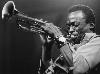 Tributo a Miles Davis