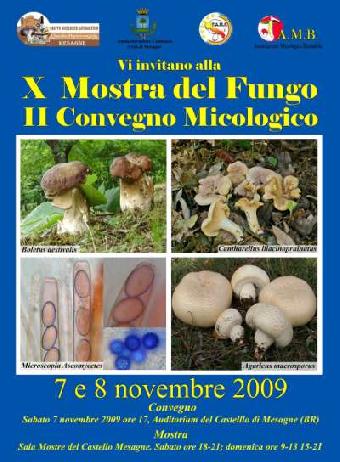 Locandina