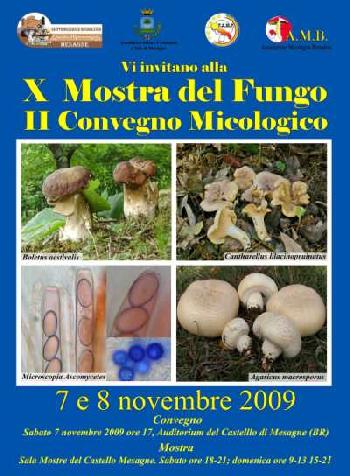 Locandina