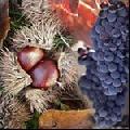  castagne e vino 
