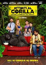 Attenti al gorilla