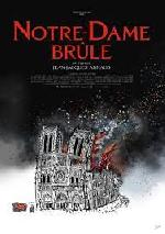 Notre Dame in fiamme