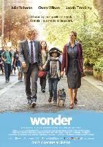 Wonder