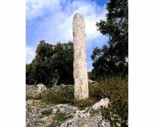 Menhir Vicinanze (Foto 2)