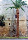 Torre circolare