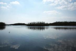 Parco di Ugento