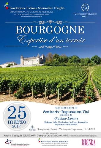 I vini della Bourgogne