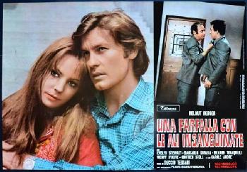 Una farfalla con le ali insanguinate